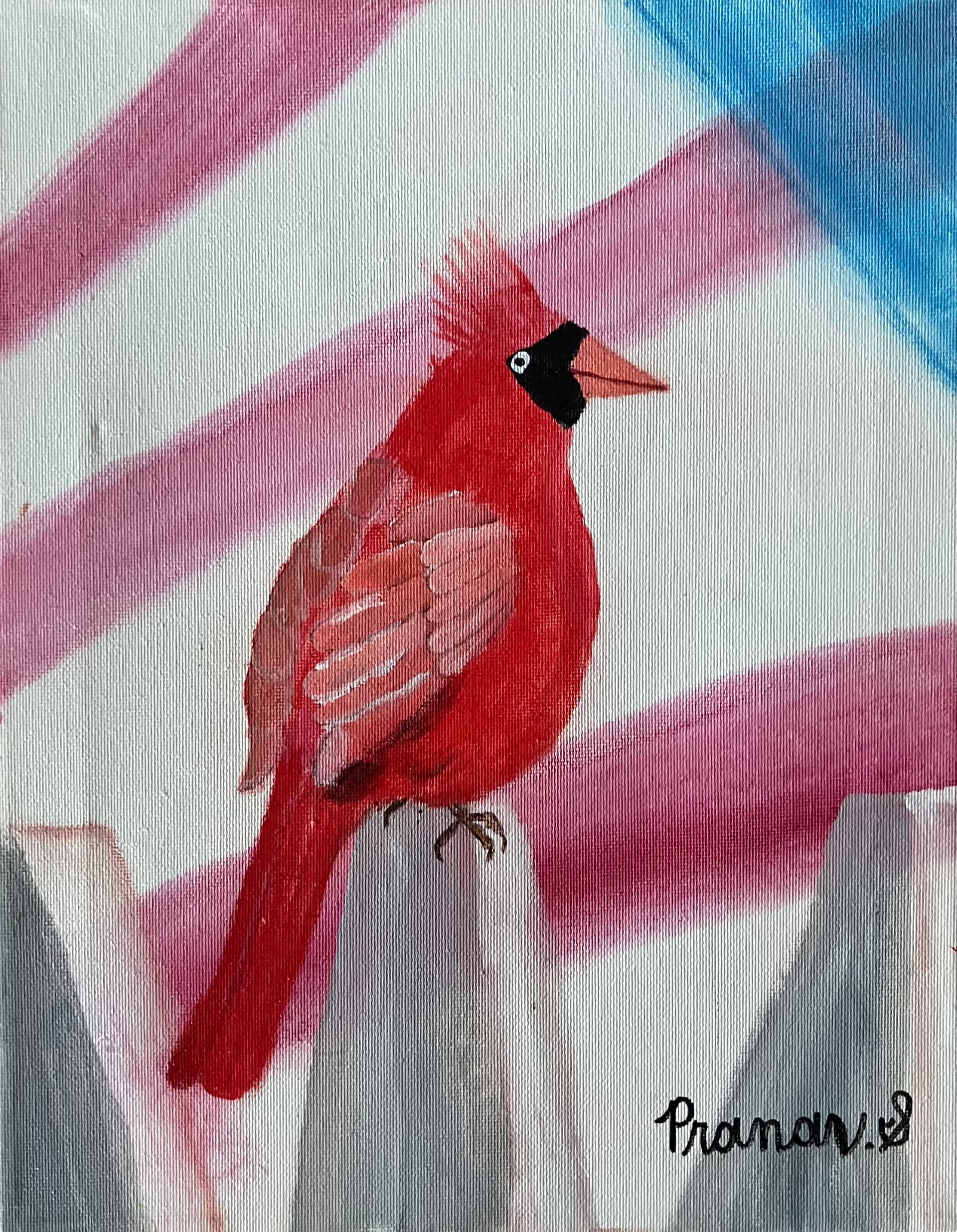 Patriotic Red Cardinal